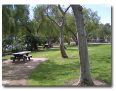 Picnic Area