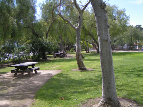 Picnic Area