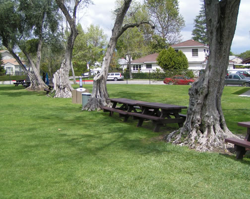 Picnic Area